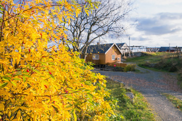 Autumn in the Lofoten Islands, Norway