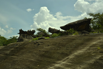 Nationalpark 