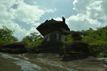 Nationalpark 