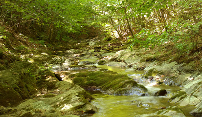 Obraz premium Mountain spring