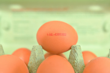 Eier - Herkunft