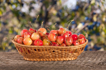 Yellow cherry in a wicker basket on a wooden table with a blurry garden background