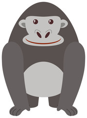 Gray gorilla on white background