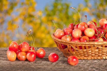 Yellow cherry in a wicker basket on a wooden table with a blurry garden background