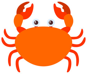Orange crab on white background