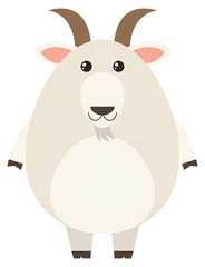 White goat on white background