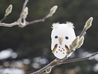雪のフクロウ