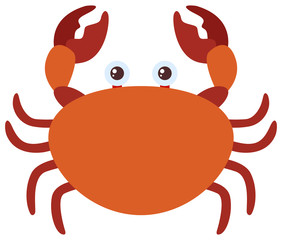 Brown crab on white background