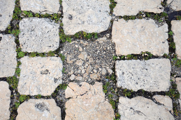 Obraz premium altes Kalksteinpflaster, Nahaufnahme