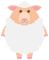 White sheep on white background