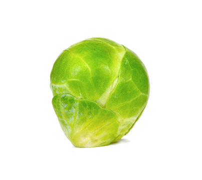 Brussel Sprout Isolated On The White Background