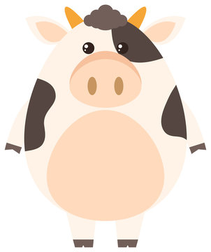 Cute cow on white background