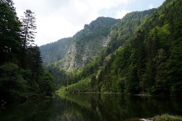 Fototapeta na wymiar Uriger Bergsee in Wald und Berglandschaft