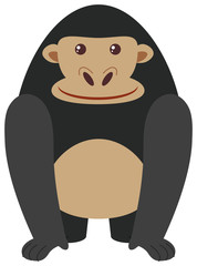 Black gorilla on white background