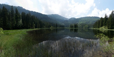 Idyllischer Bergsee in ursprünglicher Waldlandschaft