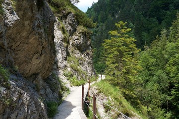 Traumhafter Wanderweg durch Berg und Waldlandschaft