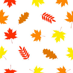 Fototapeta na wymiar Falling leaves. Seamless pattern with autumn falling leaves. Vector illustration
