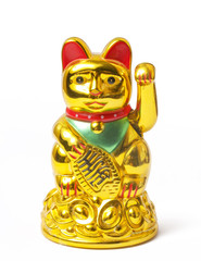 Fortune chinese cat