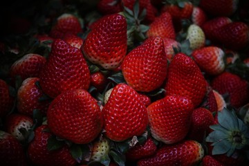 strawberry