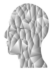 Obraz premium gray gradient Geometric head