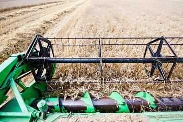 Combine harvester