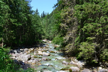 Fototapeta premium potok górski w Tatrach 