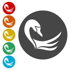Swan Icons set - Illustration 