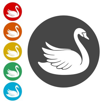 Swan Icons set - Illustration 