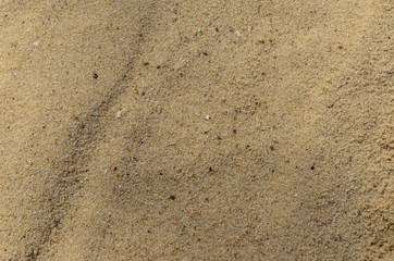 Background of the yellow sand