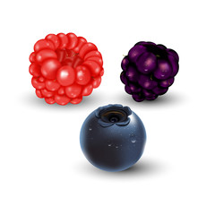 Mix berry, Fruit with white background