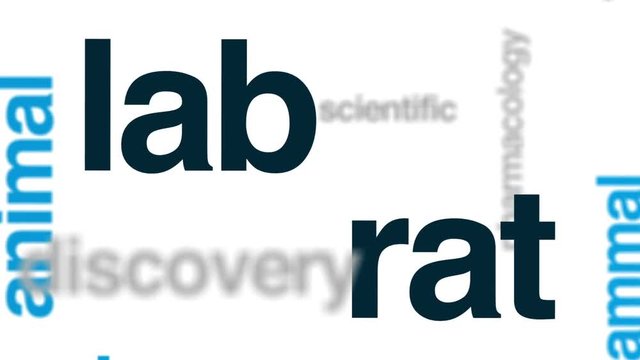 Lab rat animated word cloud, text design animation.
