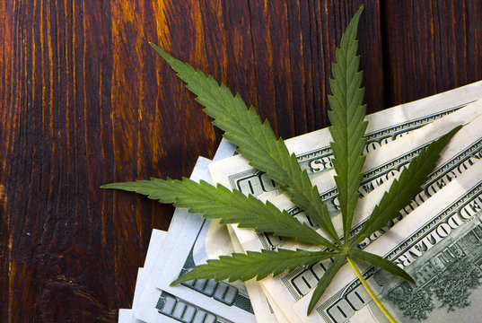 Money With Marijuana Leaf High Quality