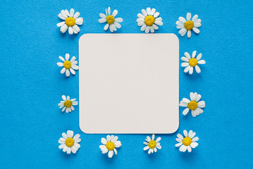 daisy flowers on the empty card