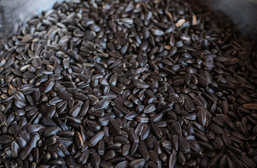 Fried sunflower seeds as background.