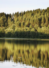 Fototapeta na wymiar White lake near Maselga village. Kargopol district. Arkhangelsk Oblast. Russia 