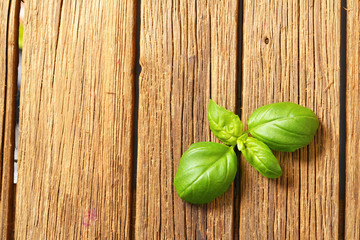 Fresh basil leaves