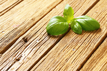 Fresh basil leaves