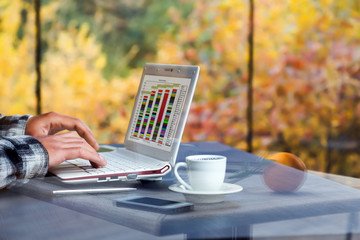 Digital Technology Freelancer working on portable Computer at Country Landscape