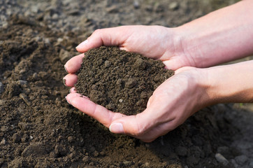 a girl holds the Earth in his hands showing concern about it. The concept of fertility and caring for nature.