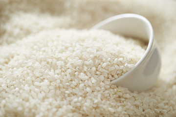 white rice