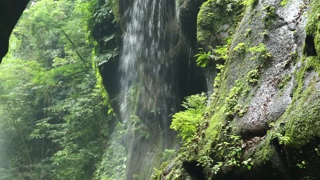 夏の由布川峡谷
