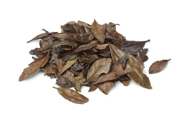 Heap of mountain tea leaves of the Meiji