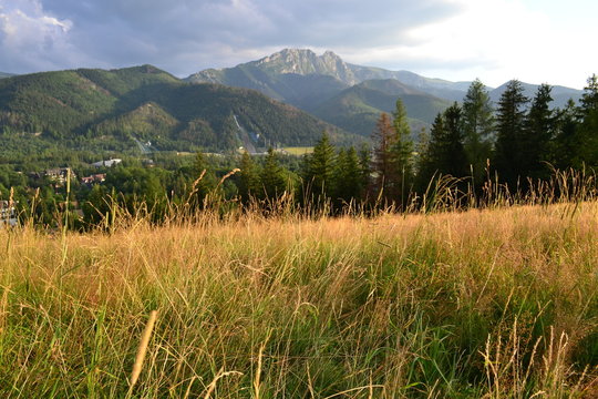 Fototapeta Góry Tatry - widok z Antałówki