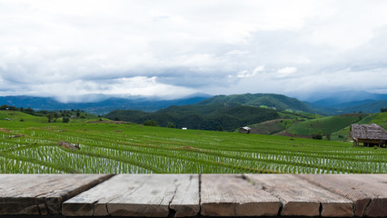 green rice field on terrace in mountain valley. beautiful nature landscape in rainy season. agriculture industry with wood table for display your product