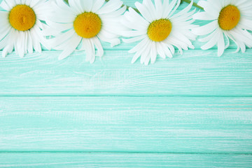Chamomile flowers on mint wooden table