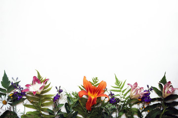 Collection of green leaves and flowers top view