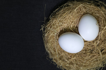 Eggs in a nest on a dark background