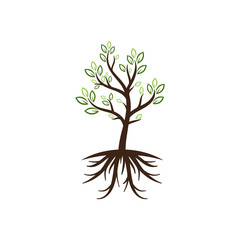 Fototapeta premium nature tree vector logo