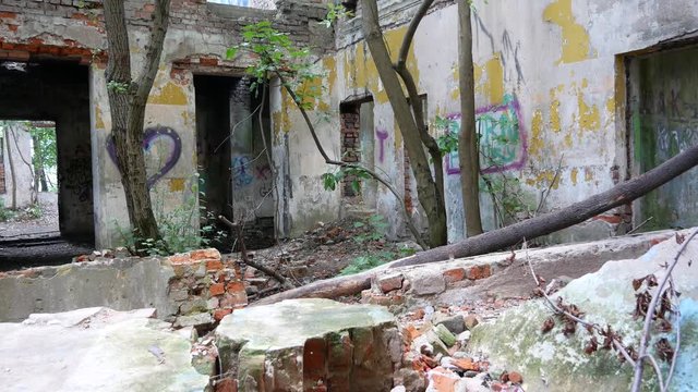 The abandoned ruined building of a brick in which trees grow. Painted walls