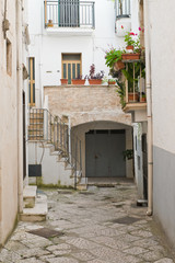 Fototapeta na wymiar Alleyway. Putignano. Puglia. Italy. 